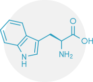 imagen L-TRIPTOFANO
